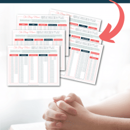 FREE Busy Mom Bible Reading Plan. #freehomeschooldeals #fhdhomeschoolers #mombiblereadingplan #busymombibleplan # biblereadingplan