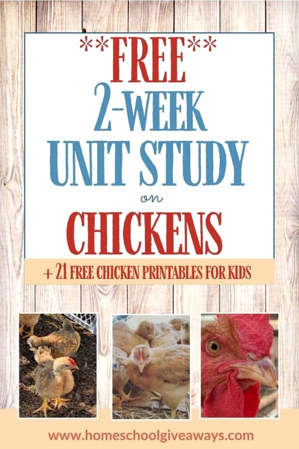 FREE Chickens Unit Study. #freehomeschooldeals #fhdhomeschoolers #chickenunitstudy #chickenprintables #unitstudyonchickens