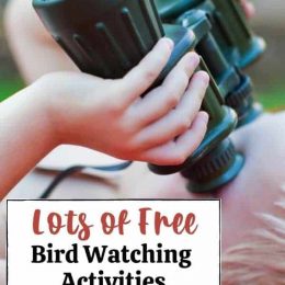 Free Activities for Birdwatching. #freehomeschooldeals #fhdhomeschoolers #birdwatchingprintables #birdwatchingforkids #studyingbirds