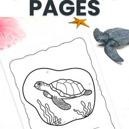 Sea Turtle FREE Coloring Pages