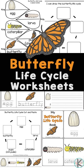 Butterfly Life Cycle Printables. #freehomeschooldeals #fhdhomeschoolers #freebutterflylifecyclestudy #butterflyunitstudy #freebutterflyworksheets
