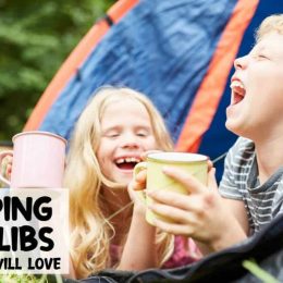 Free Camping-Themed Mad Libs. #freehomeschooldeals #fhdhomeschoolers #freecampingmadlibs #freecampingactivities #familycampinggames