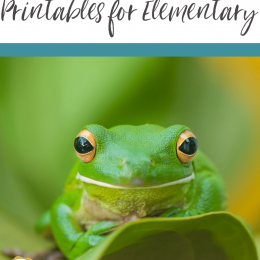 FREE Frog Life Cycle Printables. #freehomeschooldeals #fhdhomeschoolers #froglifecycle #lifecycleprintables #frogprintables