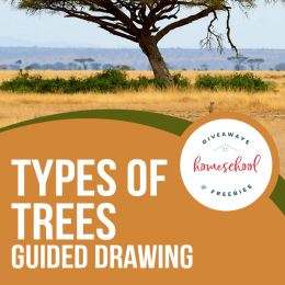 Art Pages for Drawing Trees. #freehomeschooldeals #fhdhomeschoolers #freedrawingguideforkids #drawingtrees #freedrawingpages