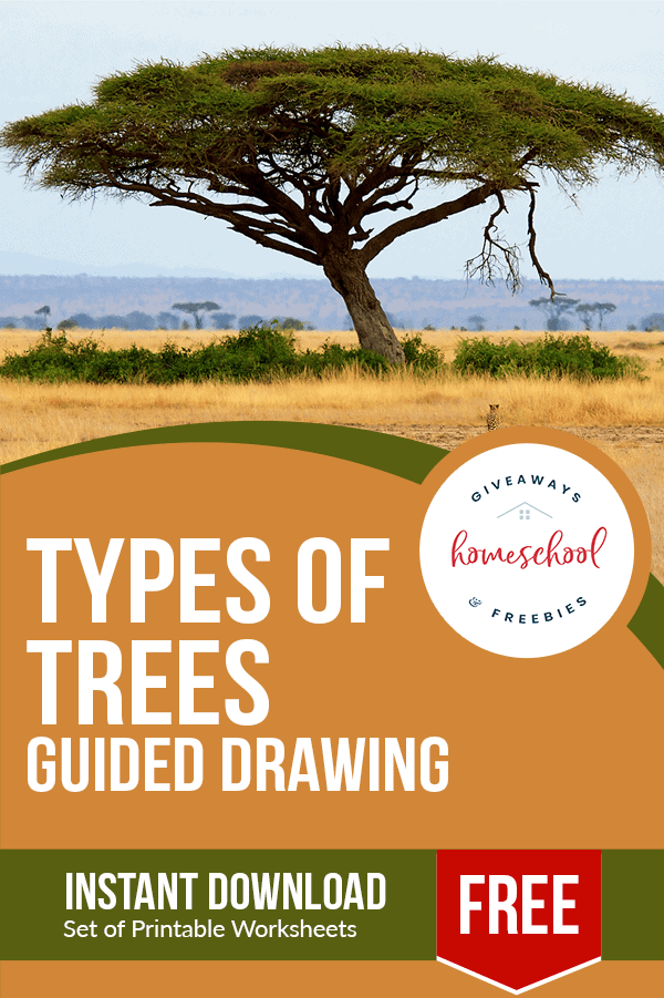 Art Pages for Drawing Trees. #freehomeschooldeals #fhdhomeschoolers #freedrawingguideforkids #drawingtrees #freedrawingpages
