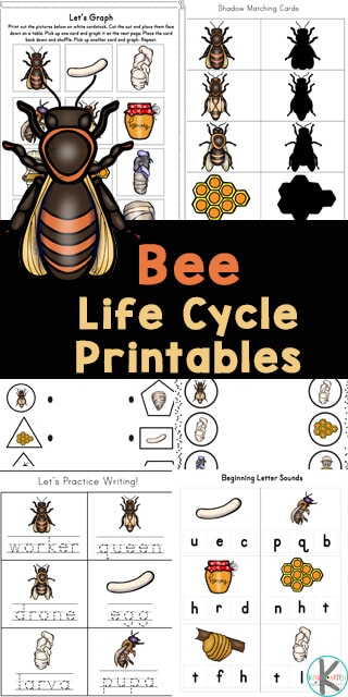 Honey Bee Life Cycle Pack. #freehomeschooldeals #fhdhomeschoolers #beelifecyclepack #studyingbees #beeworksheets