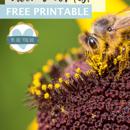 Honeybee Creative Writing Prompts. #freehomeschooldeals #fhdhomeschoolers #creativewritingprompts #honeybeewritingprompts #gnomeswritingprompts