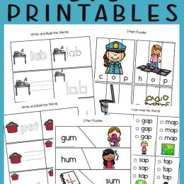 cvc word printables with adorable images and text overlay