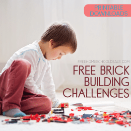 young boy on the floor playing with LEGO brick pieces with overlay "FREE Brick Building Challenges - Printable Downloads"