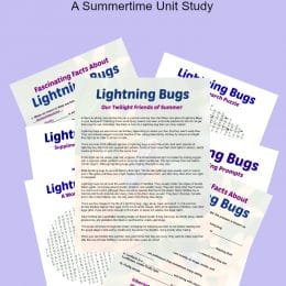 Free Fireflies Unit Study. #freehomeschooldeals #fhdhomeschoolers #studyinglightningbugs #freelightningbugunitstudy #fireflyunitstudy