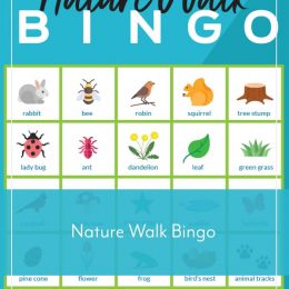 nature walk images on bingo board game with text overlay