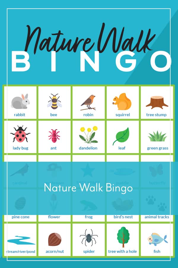 bingo board images of bugs, plants, animals with nature walk bingo text overlay