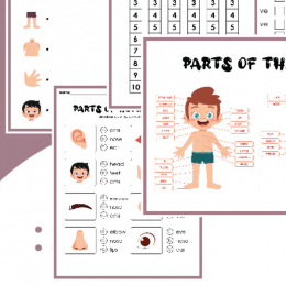 Human Body Activity Pack. #freehomeschooldeals #fhdhomeschoolers #studyingthebody #freebodystudy #preschoolscienceactivity