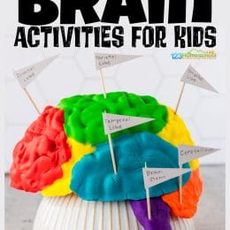 Parts of the Brain Worksheets. #freehomeschooldeals #fhdhomeschoolers #studyingthebrain #brainworksheets #freebrainprintables