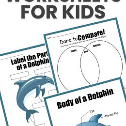 Free Dolphin Activity Pages. #freehomeschooldeals #fhdhomeschoolers #studyingdolphins #dolphinworksheets #freedolphinpages