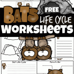 Bat Life Cycle Activity. #freehomeschooldeals #fhdhomeschoolers #learningaboutbats #batlifecycle #freebatworksheets
