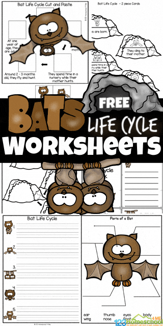 Bat Life Cycle Activity. #freehomeschooldeals #fhdhomeschoolers #learningaboutbats #batlifecycle #freebatworksheets
