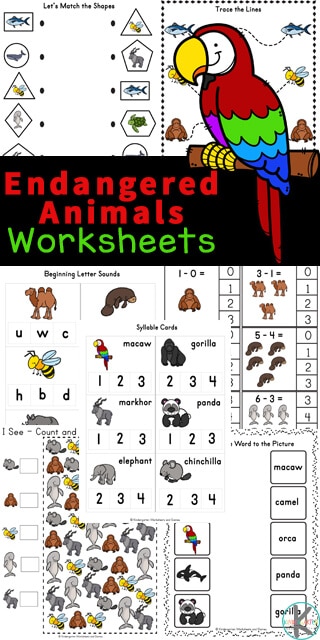 Endangered Animals Preschool Learning Pack. #freehomeschooldeals #fhdhomeschoolers #learningaboutendangeredanimals #endangeredanimalworksheets #endangeredanimalslearningpack