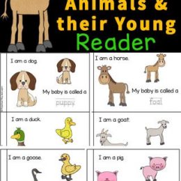 Animal Babies Early Reading Activity