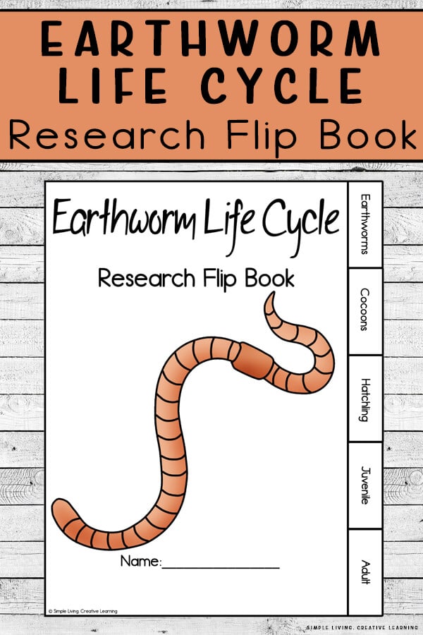 Earthworm Life Cycle Activity. #freehomeschooldeals #fhdhomeschoolers #learningaboutearthworms #earthwormlifecycleactivity #earthwormflipboook
