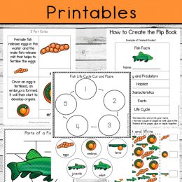 Fish Life Cycle Learning Pack