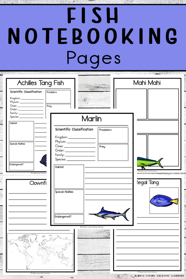 Fish Notebooking and Research Pages. #freehomeschooldeals #fhdhomeschoolers #fishnotebookingpages #learningaboutfish #fishunitstudy