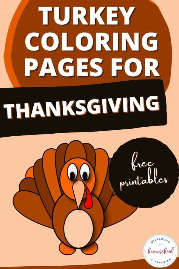 Turkey Coloring and Activity Pages, picture of a turley and text overlay. #freehomeschooldeals #fhdhomeschoolers #turkeycoloringpages #freethanksgivingcoloringpages #turkeyactivitypages

