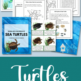 Sea Turtles Study Workbook, printables images, and sea turtles text overlay. #freehomeschooldeals #fhdhomeschoolers #studyingseaturtles #seaturtlesunitstudy #seaturtleworksheets