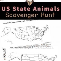 State Animal Scavenger Hunt Activity. #freehomeschooldeals #fhdhomeschoolers #studyingthe50states #stateanimalworksheets #freeprintablescavengerhunt
