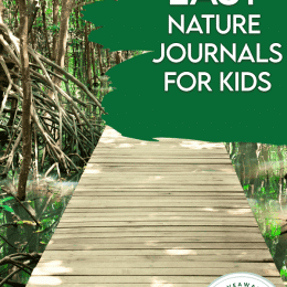 nature path landscape background and text overlay. #freehomeschooldeals #fhdhomeschoolers #freenaturejournalsforkids #naturejournaling #learningaboutnature