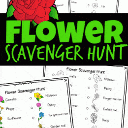 Flower Scavenger Hunt Activity. #freehomeschooldeals #fhdhomeschoolers #flowerscavengerhunt #summerscavengerhunt #printablescavengerhunt