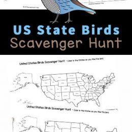 State Bird Learning Activity. #freehomeschooldeals #fhdhomeschoolers #learningaboutstatebirds #statebirdscavengerhunt #statebirdactivity