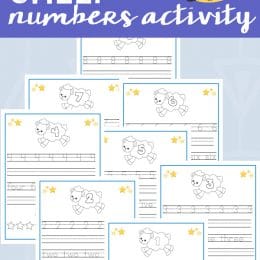 sample pages of Counting Sheep Preschool Activity