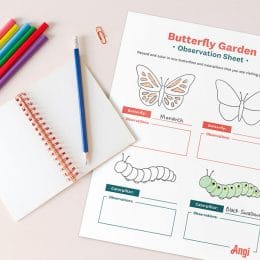 FREE Butterfly Garden Activity. #freehomeschooldeals #fhdhomeschoolers #butterflyactivity #butterflyactivities #butterflygarden