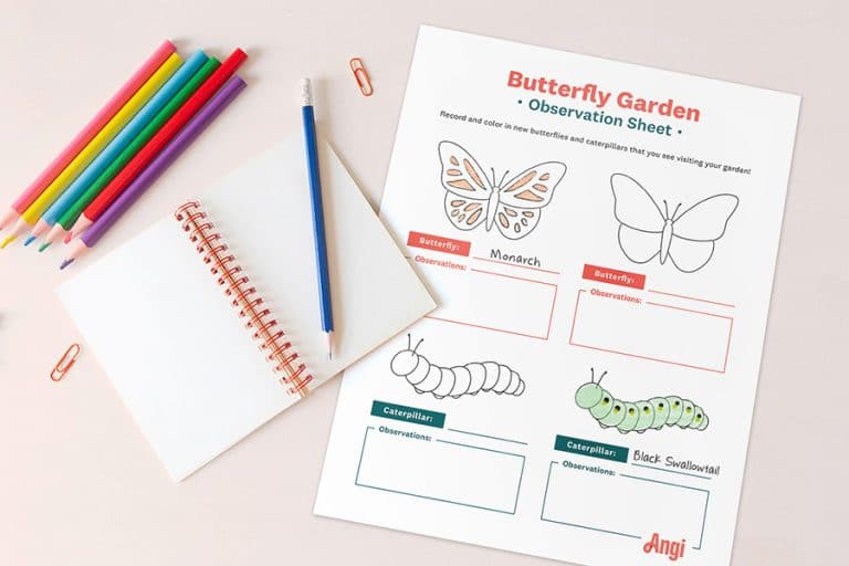 FREE Butterfly Garden Activity Free Homeschool Deals