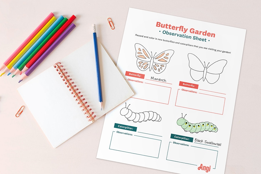 FREE Butterfly Garden Activity. #freehomeschooldeals #fhdhomeschoolers #butterflyactivity #butterflyactivities #butterflygarden 