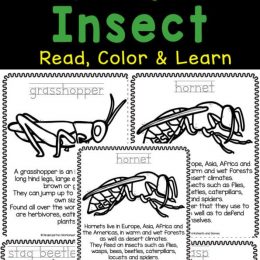 Insect Color and Learn Worksheets. #freehomeschooldeals #fhdhomeschoolers #insectcoloringpages #learningaboutbugs #bugcoloringpages