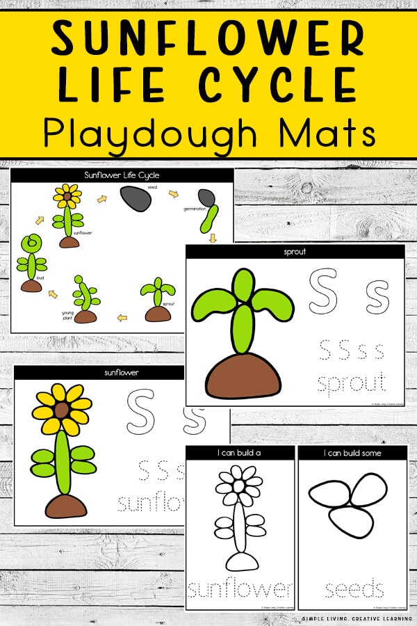Sunflower Playdough Learning Mats. #freehomeschooldeals #fhdhomeschoolers #playdoughmats #learningaboutsunflowers #sunflowerlifecycle