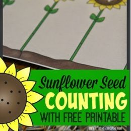 Sunflower Counting to Ten Activity. #freehomeschooldeals #fhdhomeschoolers #countingtoten #learningtocount #preschoolcountingactivity