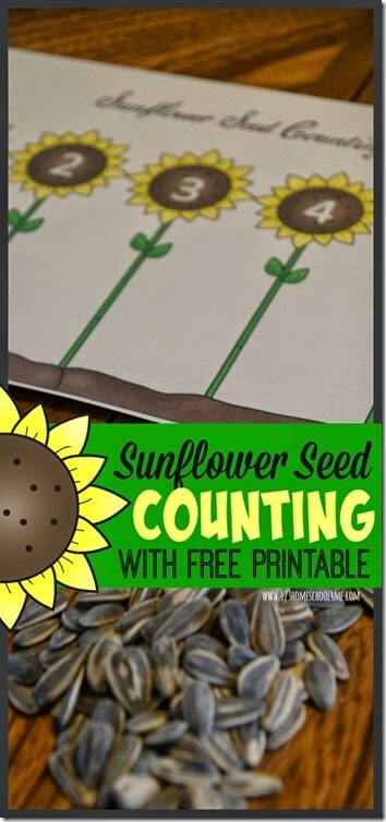 Sunflower Counting to Ten Activity. #freehomeschooldeals #fhdhomeschoolers #countingtoten #learningtocount #preschoolcountingactivity
