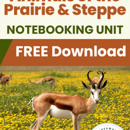 Prairie Animal Notebooking Pages. #freehomeschooldeals #fhdhomeschoolers #studyingprairies #prairienotebookingpages #studyingprairieanimals