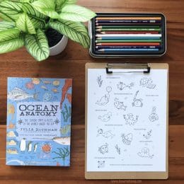 Free Ocean Animal Coloring Activity. #freehomeschooldeals #fhdhomeschoolers #oceancoloringpage #freecoloringpages #learningabouttheocean