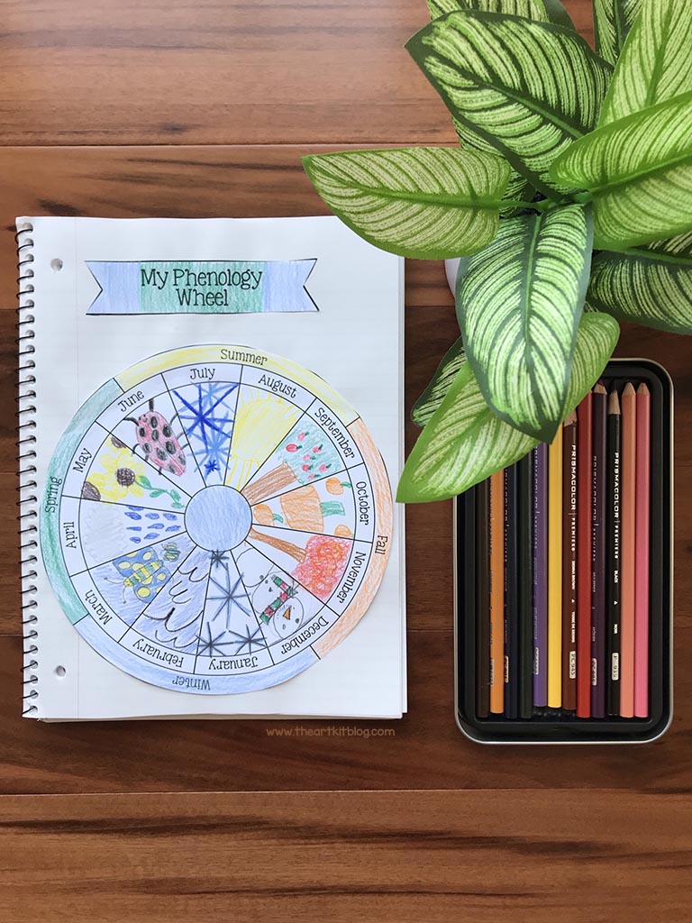 Free Phenology Observation Wheel Template. #freehomeschooldeals #fhdhomeschoolers #freescienceactivity #learningaboutphenology #scienceobservationforkids
