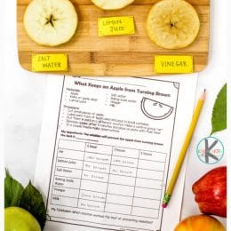 Oxidation Experiment and Worksheet. #freehomeschooldeals #fhdhomeschoolers #learningaboutoxidation #oxidationworksheets #oxidationexperimentforkids