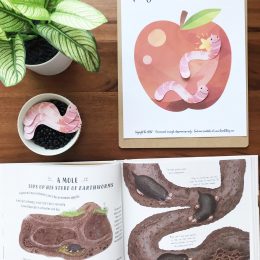 Cute Apple and Worm Game. #freehomeschooldeals #fhdhomeschoolers #freekidsgames #applegamesforkids #learningaboutapples