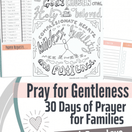 Gentleness Family Bible Study. #freehomeschooldeals #fhdhomeschoolers #learningaboutgentleness #familycharacterstudy #familybiblestudy