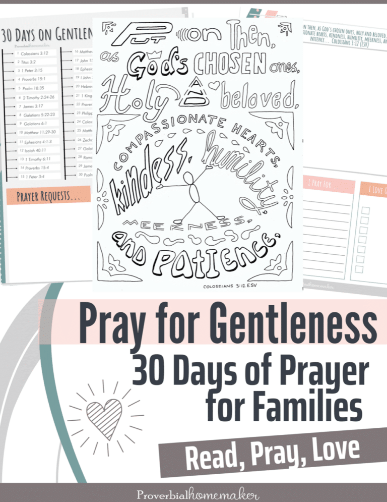 Gentleness Family Bible Study. #freehomeschooldeals #fhdhomeschoolers #learningaboutgentleness #familycharacterstudy #familybiblestudy
