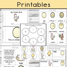 Chick Life Cycle Activity. #freehomeschooldeals #fhdhomeschoolers #learningaboutlifecycles #chickenlifecycle #lifecycleactivity