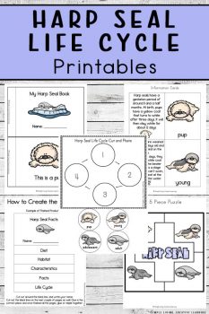 Harp Seal Study Printables | Free Homeschool Deals