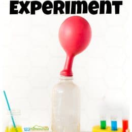 Balloon Activity and Observation Worksheet. #freehomeschooldeals #fhdhomeschoolers #learningaboutobservation #freescienceworksheets #scienceexperimentsforkids